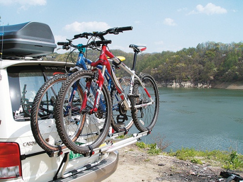 bike carrying backpack