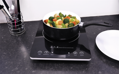 Leisurewize multi function electric cooker online